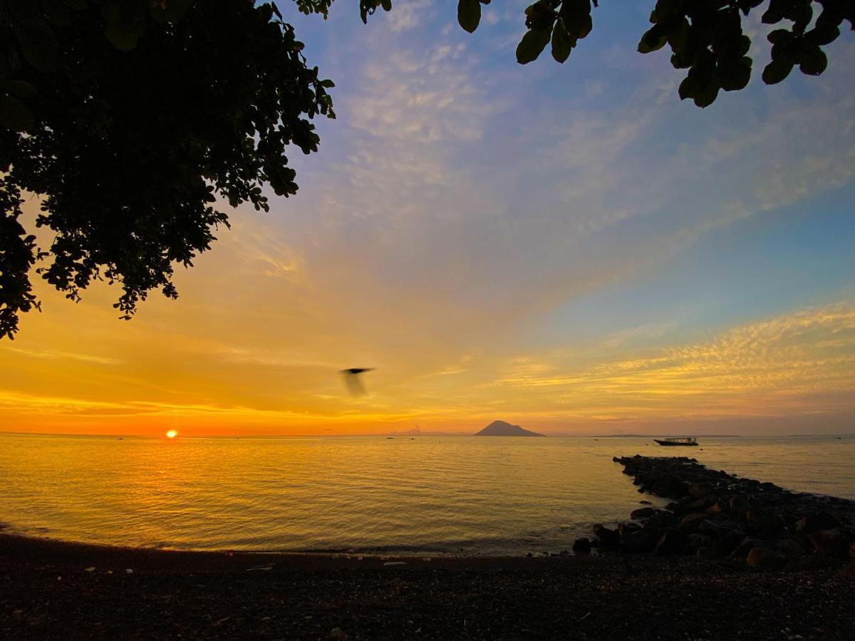 Murex Dive Resort Manado Extérieur photo