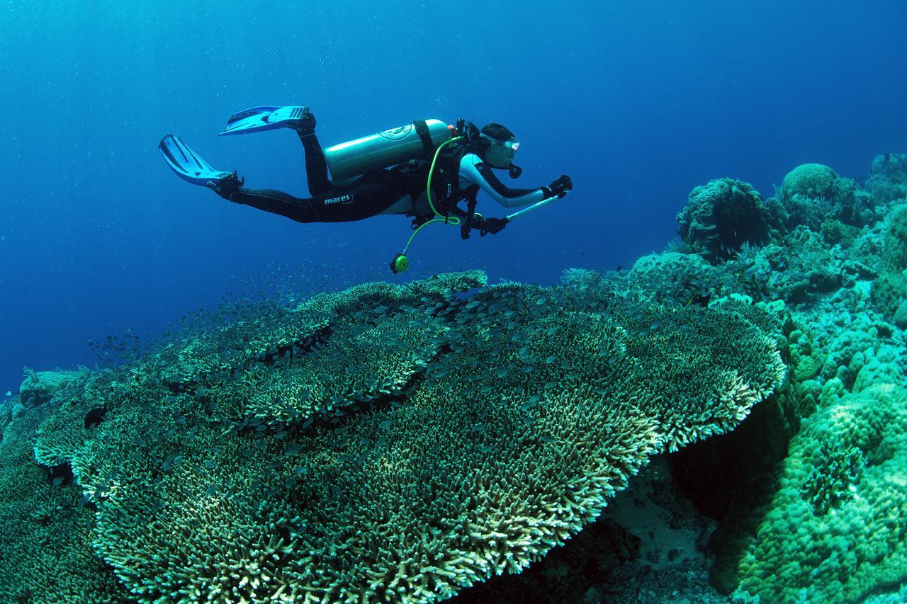 Murex Dive Resort Manado Extérieur photo